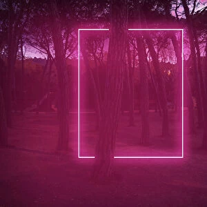 Rectangle red light neon between pine trees with futuristic visual effect