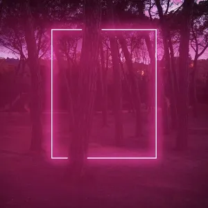 Rectangle red light neon between pine trees with futuristic visual effect Rectangle red light neon between pine trees with futuristic visual effect