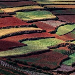 Red Land, Yunnan, China