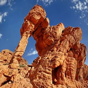 Red sandstone formation Elephant Rock, Valley of Fire, Nevada, United States