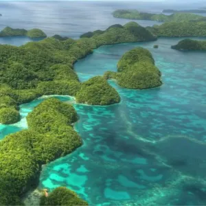 The Reef and Beyond The Reef and Beyond