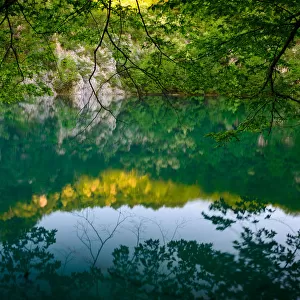 Reflected Nature at Plitvice Lakes National Park