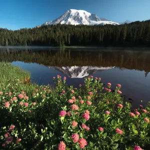 Reflection lake Mount Rainier Reflection lake Mount Rainier