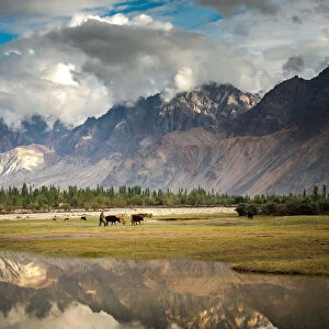 Reflection lake in nubra valley, India