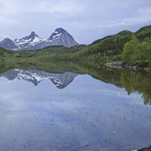 Reflections on the water surface of a lake, Norway, Scandinavia, Europe