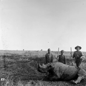 Rhino Hunt