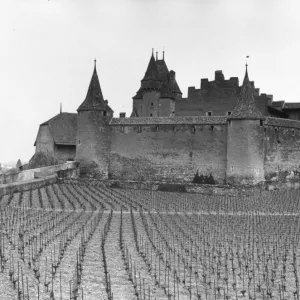 Images Dated 1981: April