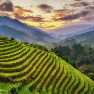 Vietnam