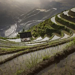 Rice paddy hills in remote landscape