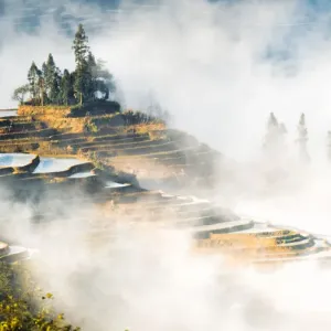 Yuanyang Rice Terraces Print with Rolling Fog