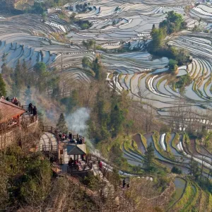 Yuanyang Rice Terraces Print from Tiger Mouth Viewpoint