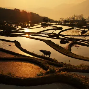 Rice terrace in Yuanyang County Rice terrace in Yuanyang County