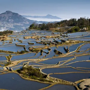 Rice terrace in Yuanyang County Rice terrace in Yuanyang County
