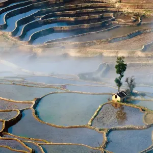 Rice terrace in Yuanyang County Rice terrace in Yuanyang County