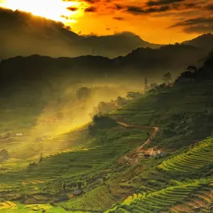 Rice terraces Rice terraces