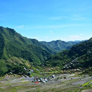 Rice terraces Batad Philippines