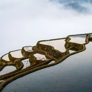 Yuanyang Rice Terraces Cloud Reflection Print