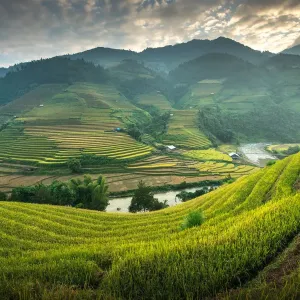 Rice terraces at Mu Cang Chai, Vietnam Rice terraces at Mu Cang Chai, Vietnam