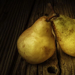 Two Ripe Pears Still Life
