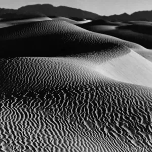 Ripples In Sand Ripples In Sand