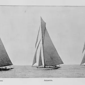 Rival Defenders Print: 19th Century America's Cup Ships Rival Defenders Print: 19th Century America's Cup Ships