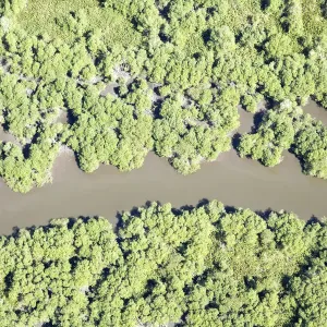 River River