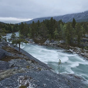 River in the Norwegian Plateau, Norway, Scandinavia, Europe