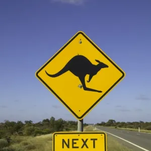 Panneau routier de kangourous en croisement, Australie. Panneau routier de kangourous en croisement, Australie.
