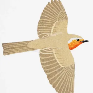 Robin (Erithacus rubecula), adult Robin (Erithacus rubecula), adult