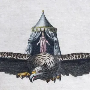 Roc Bird Hand-Colored Copper Engraving Print