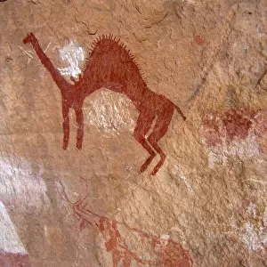 Rock Art in the Sahara