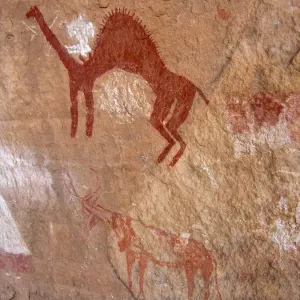 Rock Art in the Sahara Print Rock Art in the Sahara Print