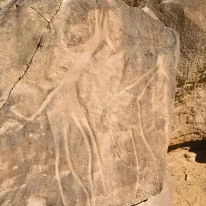 Rock engravings in the Wadi Mathendous, giraffe, Wadi Barjuj, stone desert, Libya, Sahara, North Africa, Africa Rock engravings in the Wadi Mathendous, giraffe, Wadi Barjuj, stone desert, Libya, Sahara, North Africa, Africa