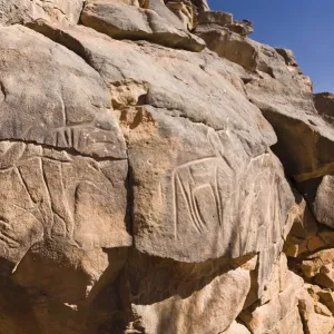 Rock engravings in the Wadi Mathendous, giraffe, Wadi Barjuj, stone desert, Libya, Sahara, North Africa, Africa Rock engravings in the Wadi Mathendous, giraffe, Wadi Barjuj, stone desert, Libya, Sahara, North Africa, Africa