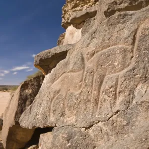 Rock engravings in the Wadi Mathendous, giraffe, Wadi Barjuj, stone desert, Libya, Sahara, North Africa, Africa Rock engravings in the Wadi Mathendous, giraffe, Wadi Barjuj, stone desert, Libya, Sahara, North Africa, Africa