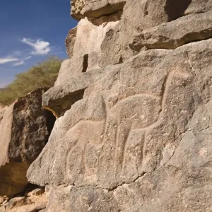 Rock engravings in the Wadi Mathendous, giraffe, Wadi Barjuj, stone desert, Libya, Sahara, North Africa, Africa Rock engravings in the Wadi Mathendous, giraffe, Wadi Barjuj, stone desert, Libya, Sahara, North Africa, Africa