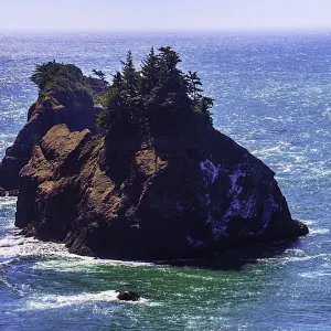 Rock Island Oregon Coast Print