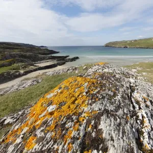 Rock with lichens, Barleycove, Mizen Head Peninsula, West Cork, Republic of Ireland, British Isles, Europe Rock with lichens, Barleycove, Mizen Head Peninsula, West Cork, Republic of Ireland, British Isles, Europe