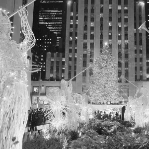 Images Dated 1981 December: 7 Dec 1981