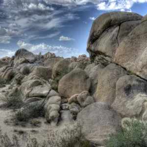 rocks at Joshua Tree National Park - California - USA rocks at Joshua Tree National Park - California - USA