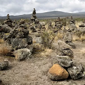 Rocks piled (cairns) on Shira Plateau, Kilimanjaro National Park, Lemosho trail