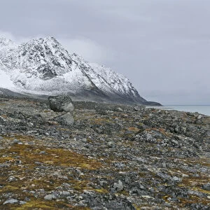 Rocky landscape with moss, Magdalenefjorden, Spitsbergen, Spitsbergen Island, Svalbard Archipelago, Svalbard and Jan Mayen, Norway