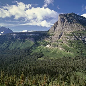 Rocky mountain towering over coniferous forests in valley, Heavy Runner Mountain, Glacier National Park, Montana, USA