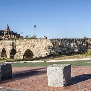 Roman Bridge and Cathedral of Salamanca