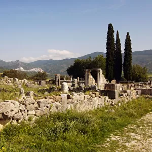 Roman city of Volubilis