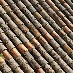 Roman roof tiles, Cathedral of Salamanca, Castile and Leon, Castilla y Leon, Spain, Europe