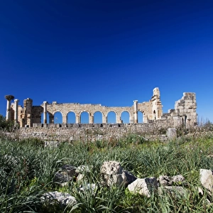 Roman Ruins, Meknes, Morocco