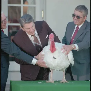 Images Dated 1988 November: 18 Nov 1988
