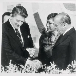 Images Dated 1982 December: 2 Dec 1982