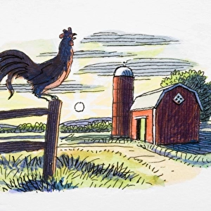 Rooster on gate post, in front of farm building and rising sun